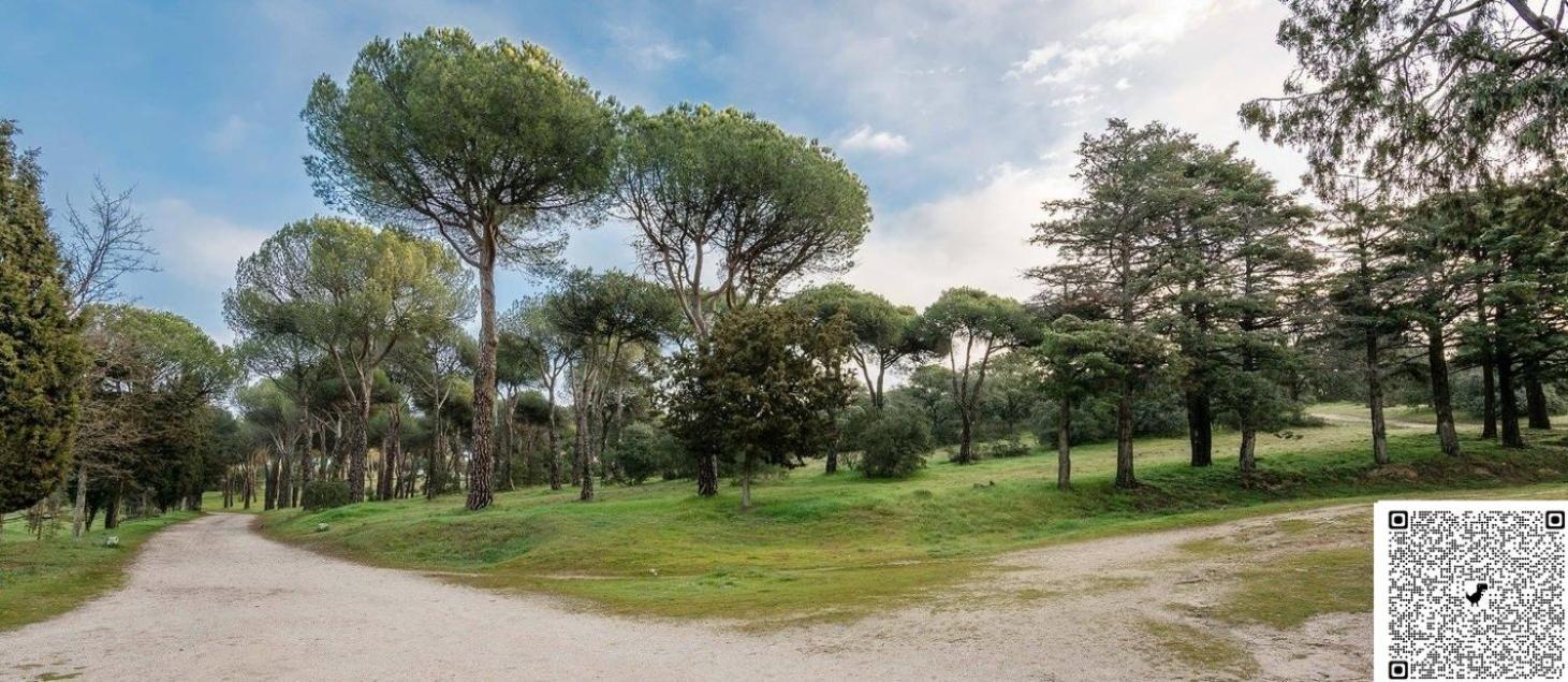 Apartamento Las Rozas Centro Con Parking Incluido Екстер'єр фото